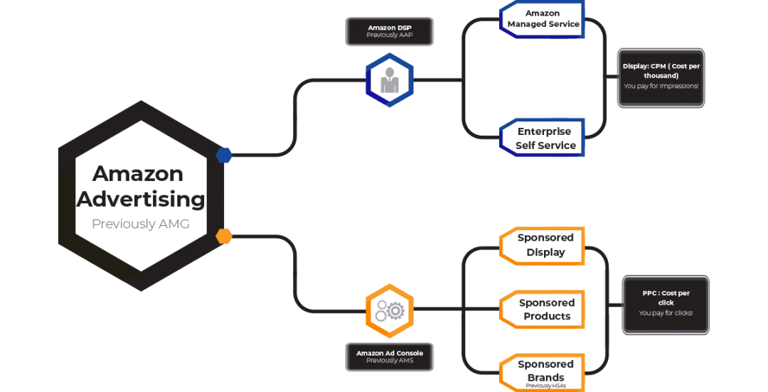 What Is Amazon DSP? Comprehensive Guide (2023) SellerMetrics